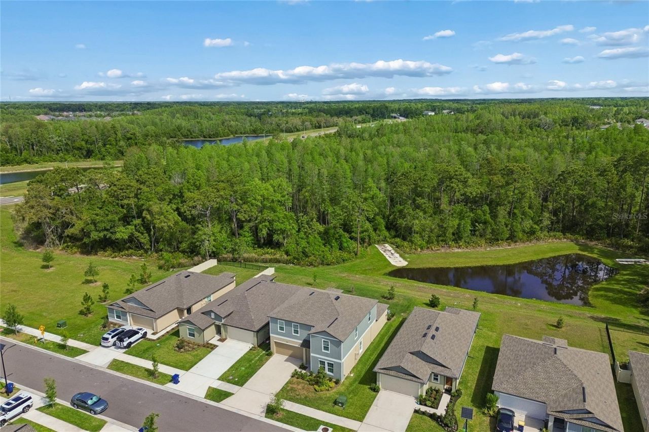 10065 Gentle Rain Drive, Land O Lakes, FL 34638 Photo