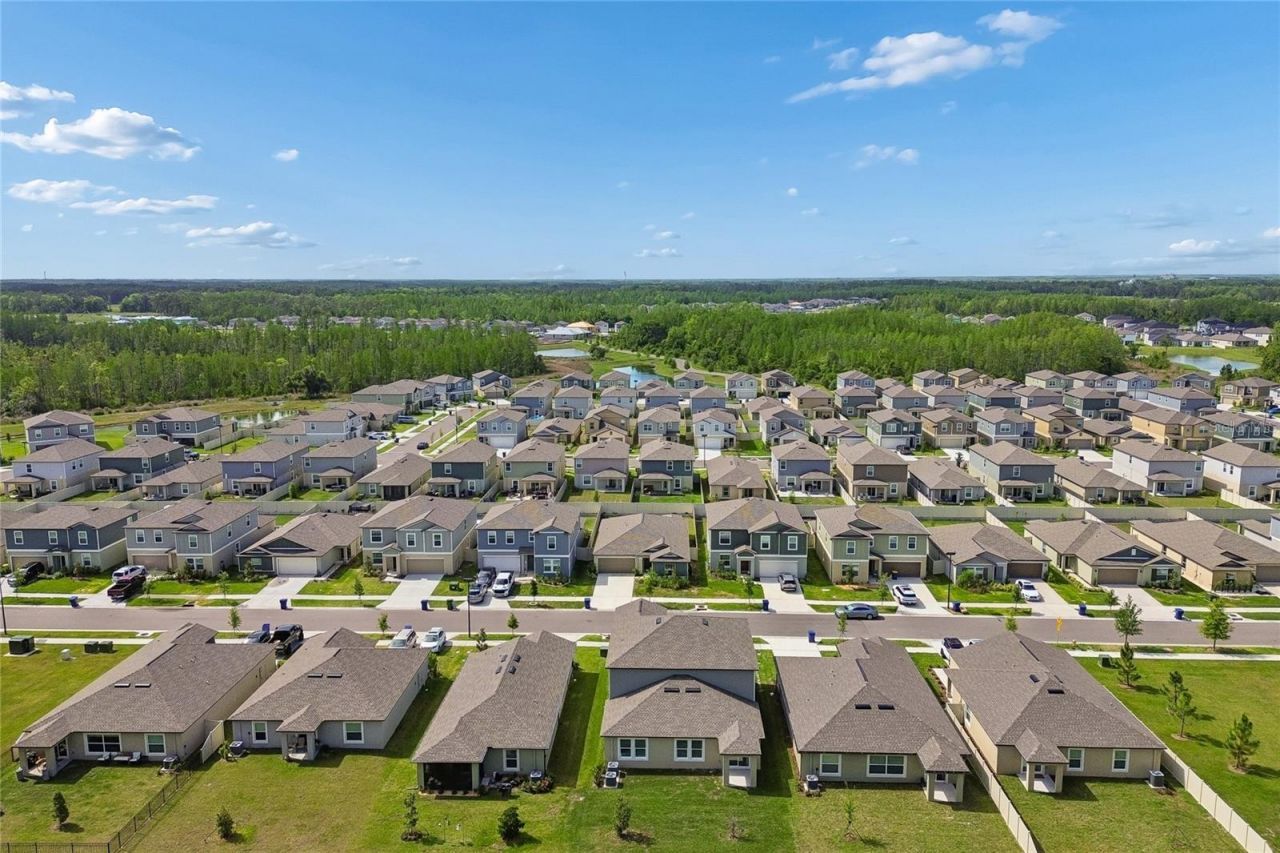 10065 Gentle Rain Drive, Land O Lakes, FL 34638 Photo