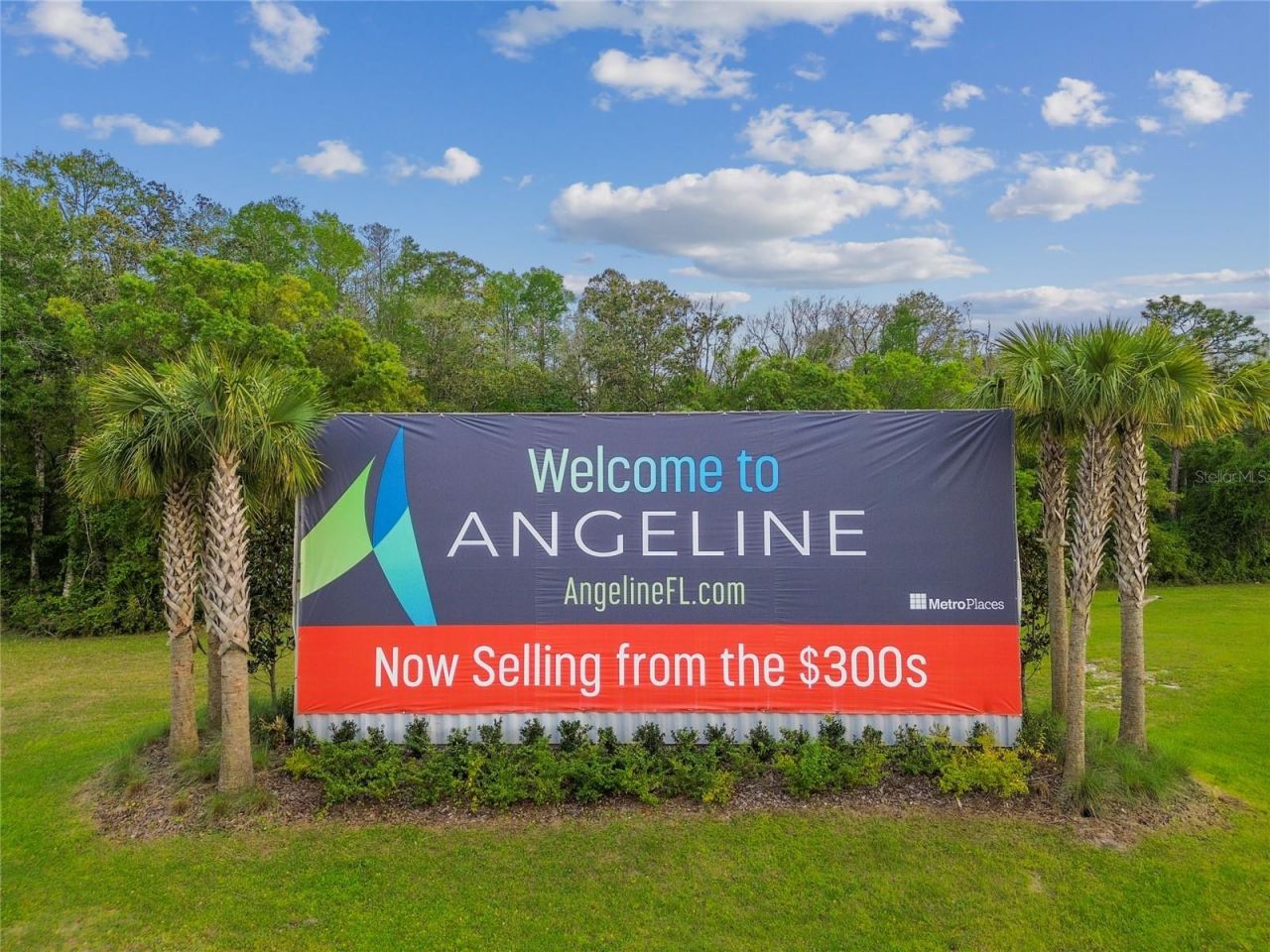 10065 Gentle Rain Drive, Land O Lakes, FL 34638 Photo