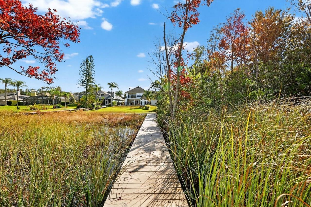 1741 Edgewater Drive, Mount Dora, FL 32757 Photo