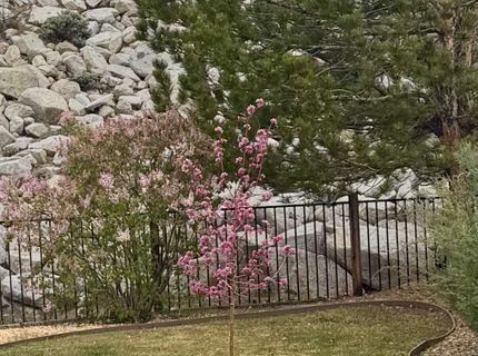 1051 Pebble Beach Court, Minden, NV 89423 Photo