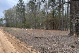 344 Terry Road  photo 4