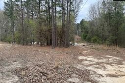 344 Terry Road  photo 4