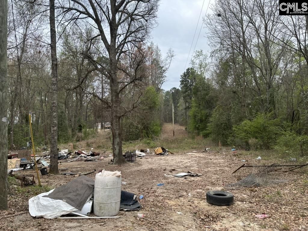 344 Terry Road  Photo 5