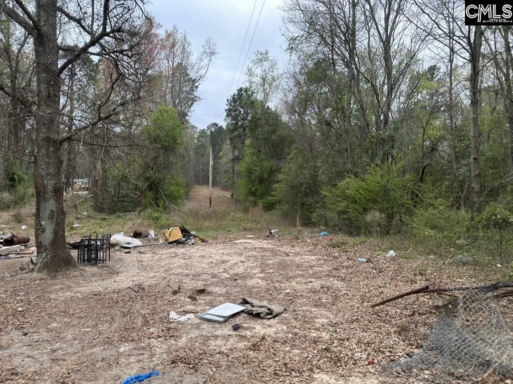 344 Terry Road  Photo 6