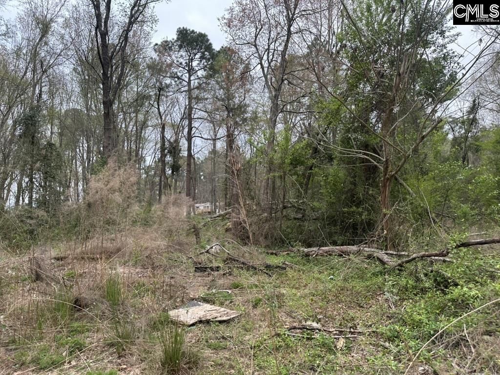 344 Terry Road  Photo 7