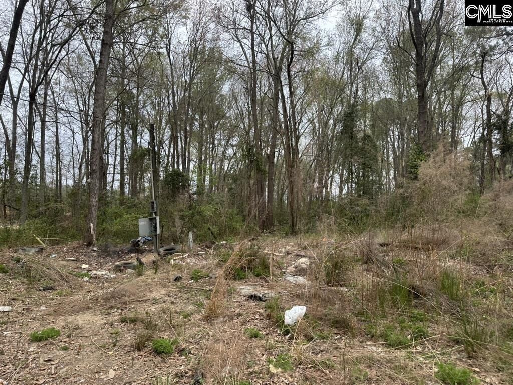 344 Terry Road  Photo 8