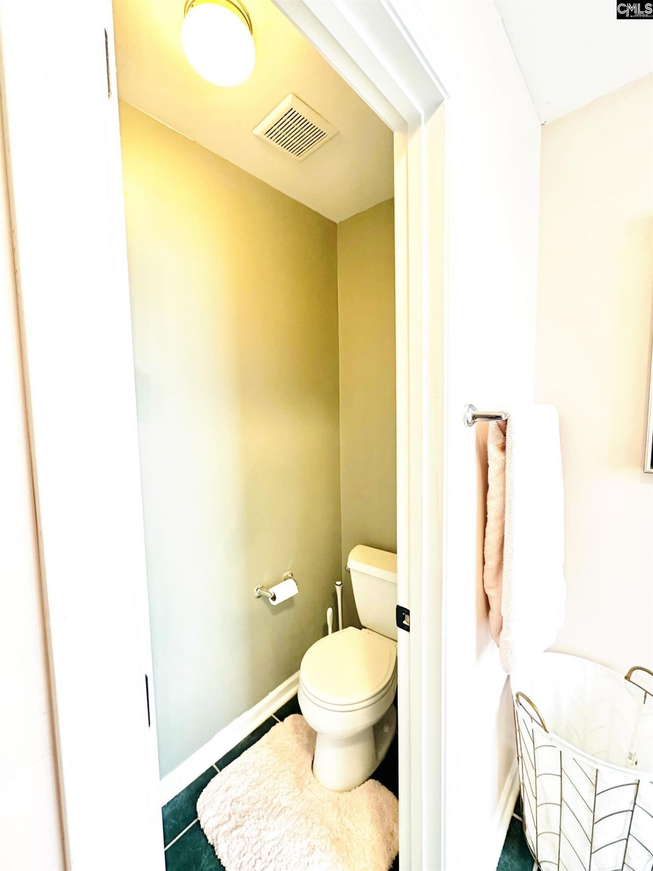 208 Saints Creek Lane  Photo 22