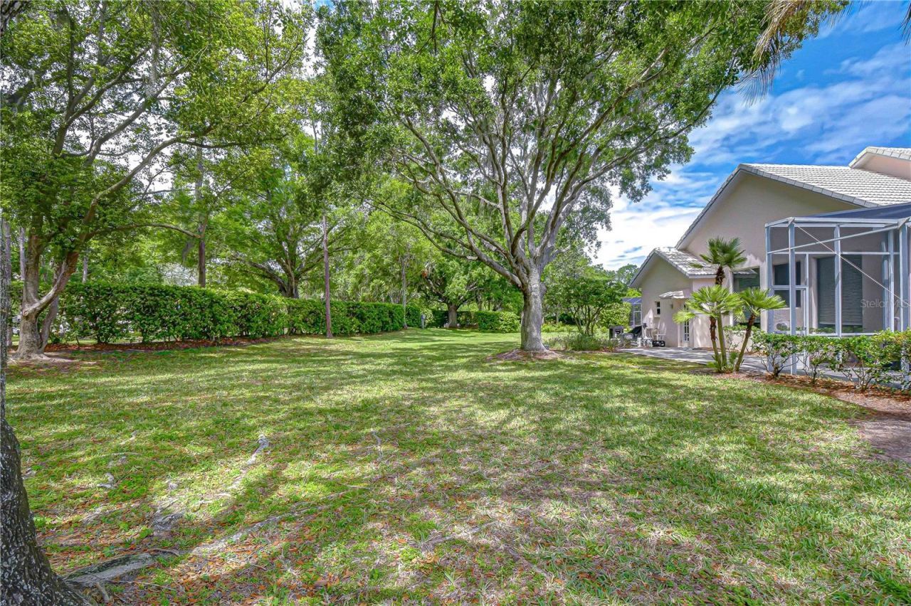 5201 Laurel Pointe Drive, Valrico, FL 33594 Photo