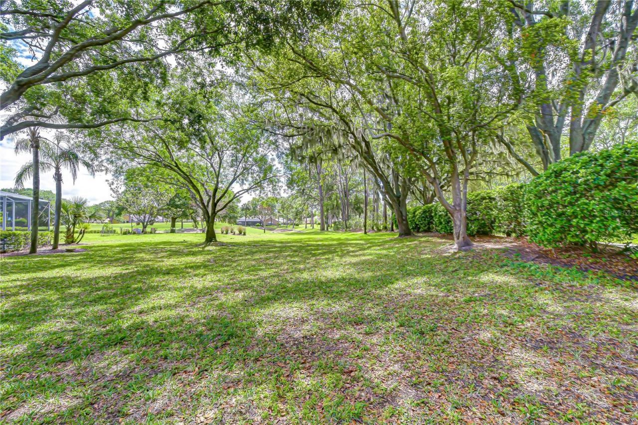 5201 Laurel Pointe Drive, Valrico, FL 33594 Photo