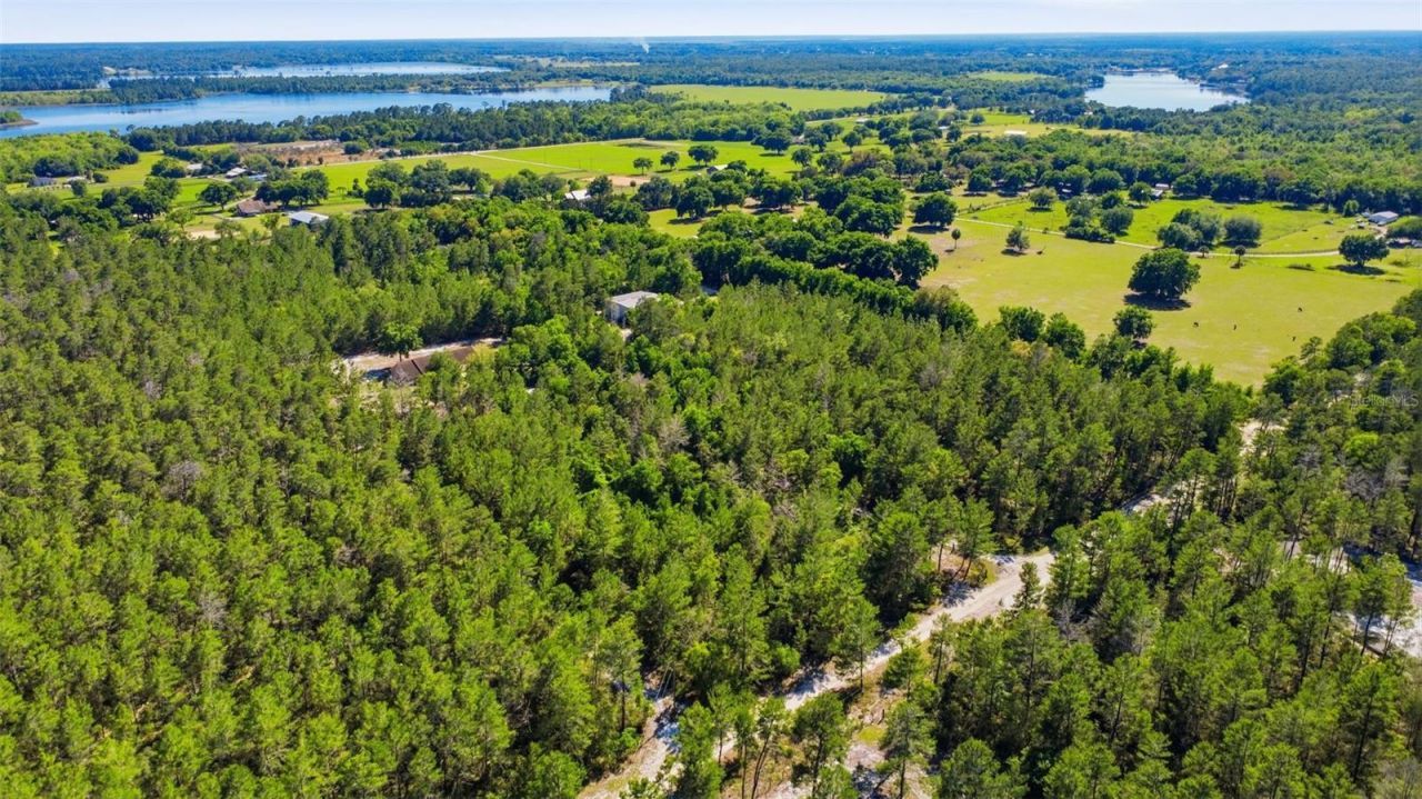 1640 Red Dog Road, De Leon Springs, FL 32130 Photo