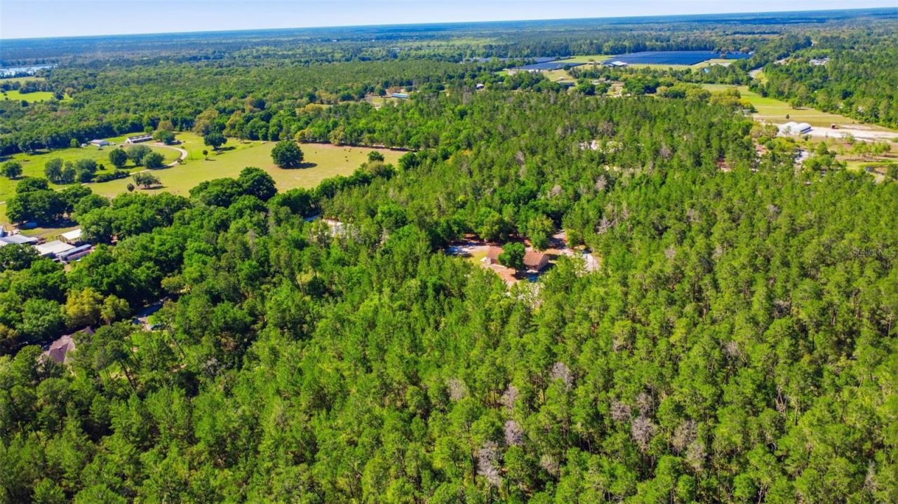 1640 Red Dog Road, De Leon Springs, FL 32130 Photo
