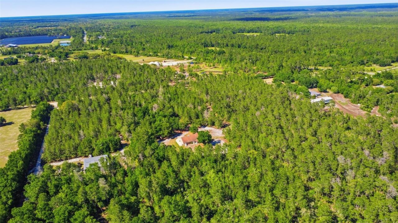 1640 Red Dog Road, De Leon Springs, FL 32130 Photo