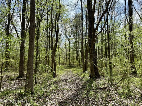 Duram Road, Olive Branch, MS 38654