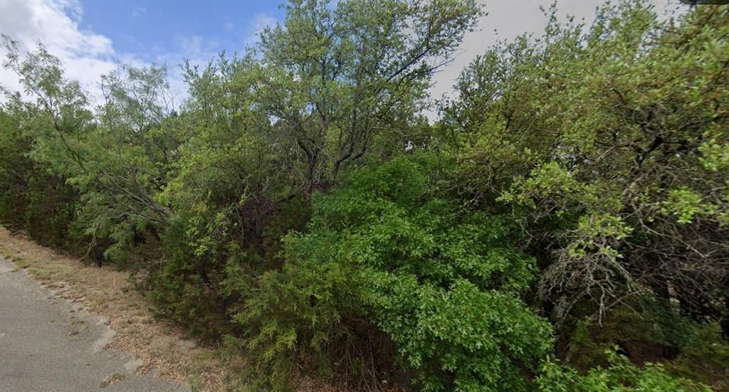 3128 Ohio River Trail, Granbury, TX 76048 Main Photo