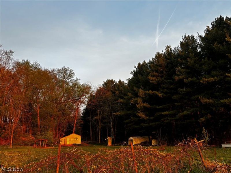 8087 Magnet Road NE, Minerva, OH 44657 Photo 3