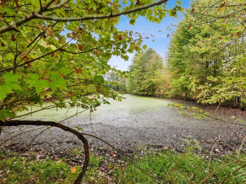 6139 Belfast Road, Stonelick Twp, OH 45122 Photo 9