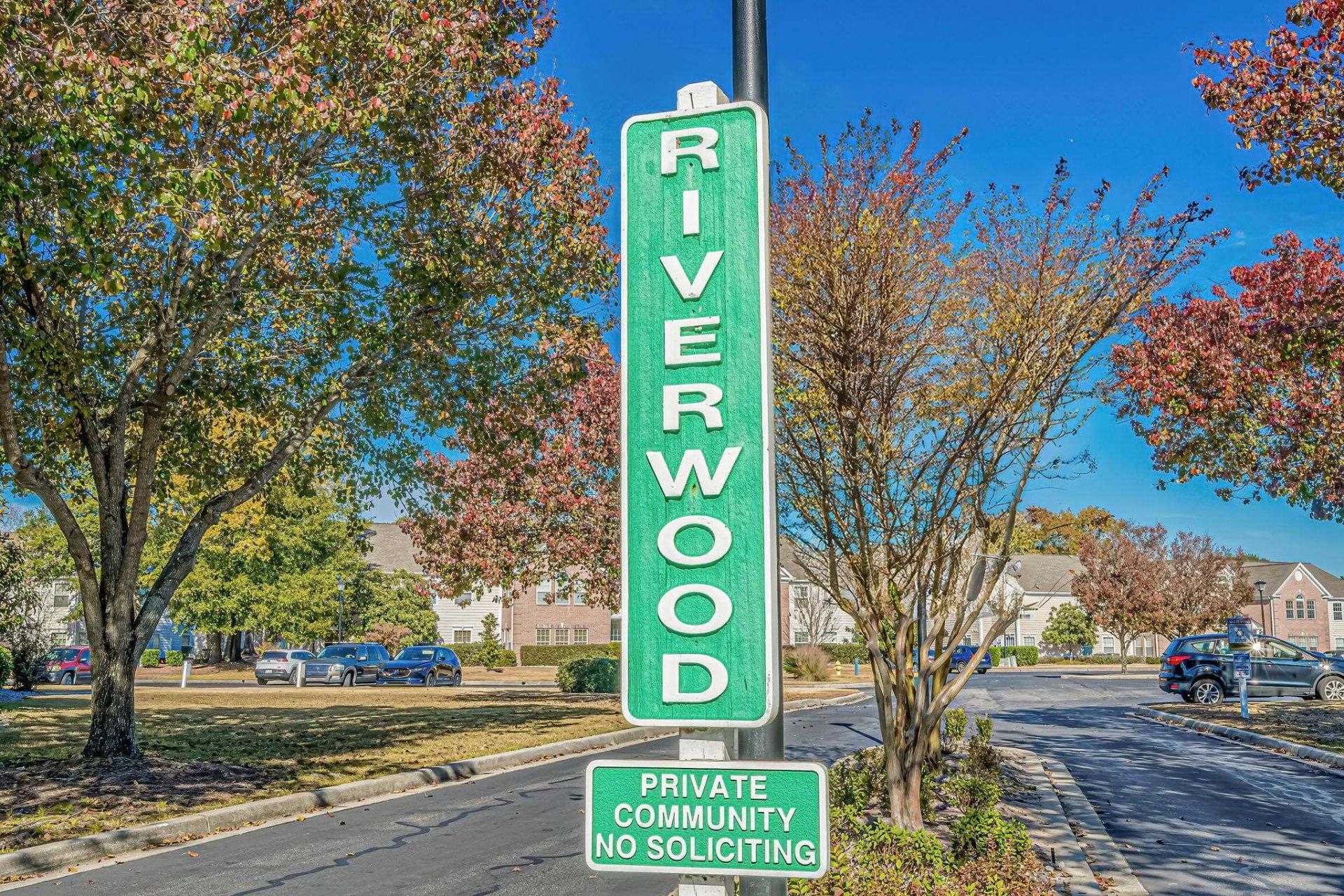 4276 Santolina Way  Photo 45