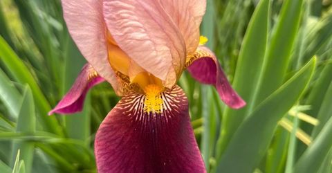 3085 Texerna Ct, Placerville, CA 95667 Photo