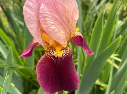 3085 Texerna Ct, Placerville, CA 95667 Photo