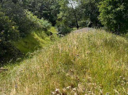 3085 Texerna Ct, Placerville, CA 95667 Photo