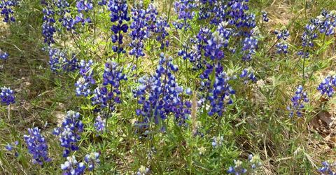 3085 Texerna Ct, Placerville, CA 95667 Photo