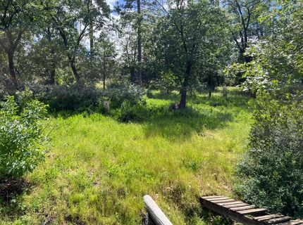 3085 Texerna Ct, Placerville, CA 95667 Photo