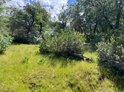 3085 Texerna Ct, Placerville, CA 95667 Photo