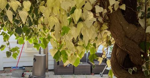 3085 Texerna Ct, Placerville, CA 95667 Photo