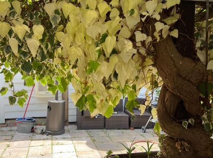 3085 Texerna Ct, Placerville, CA 95667 Photo