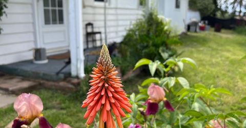 3085 Texerna Ct, Placerville, CA 95667 Photo