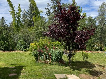 3085 Texerna Ct, Placerville, CA 95667 Photo