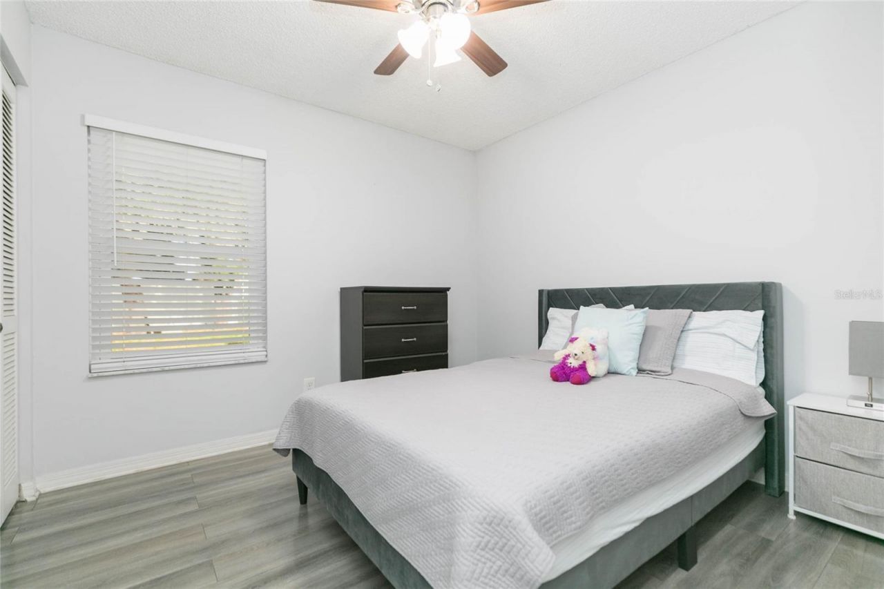 1111 Windhorst Ridge Drive, Brandon, FL 33510 Photo