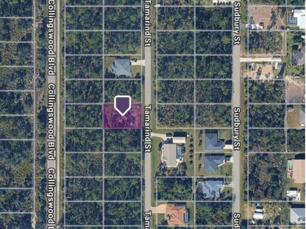 3133 TAMARIND STREET , PORT CHARLOTTE, FL 33948