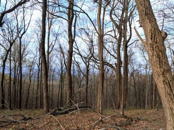 7188 Ridgeview Drive, Big Canoe, GA 30143