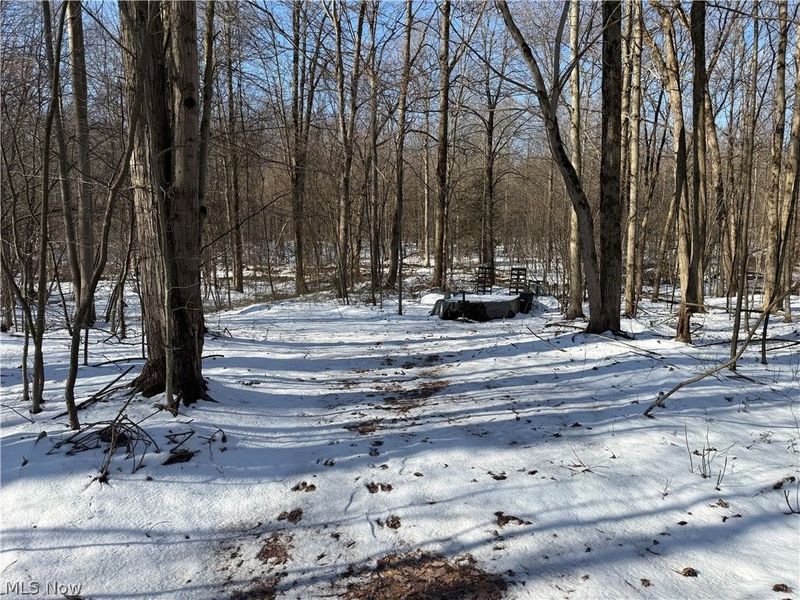 3117 Sweet Road, Conneaut, OH 44030 Photo 2