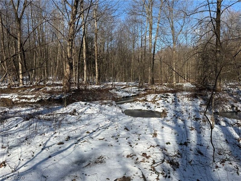 3117 Sweet Road, Conneaut, OH 44030 Photo 6