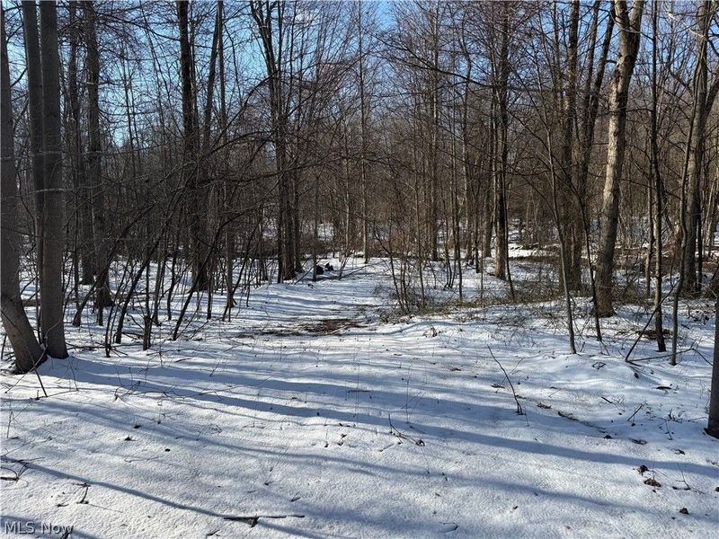 3117 Sweet Road, Conneaut, OH 44030 Photo 7