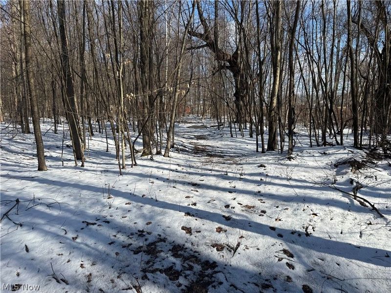 3117 Sweet Road, Conneaut, OH 44030 Photo 9