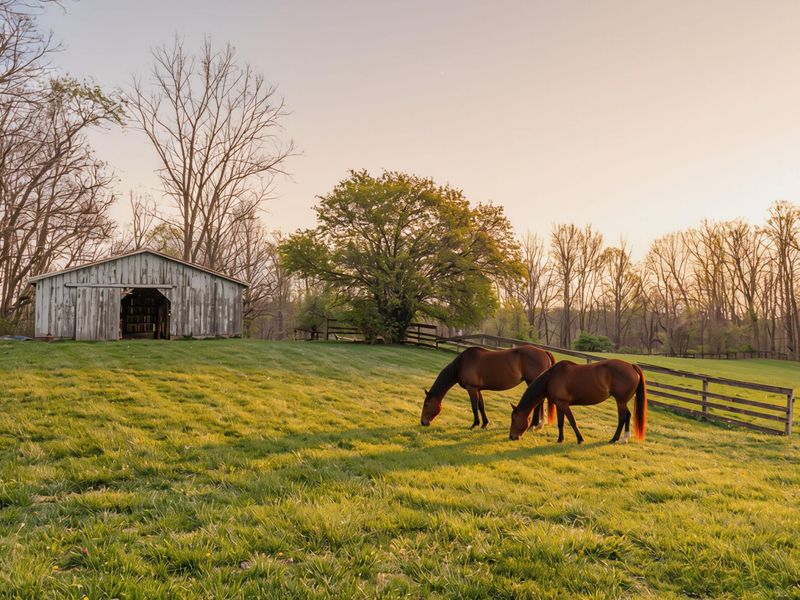 8050 Zimmerman Road, Saint Paris, OH 43072 Photo 11