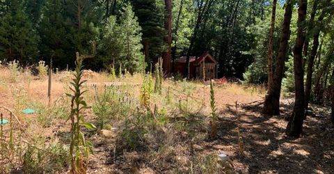 103 Lewis Ln., Sierra City, CA 96125 Photo