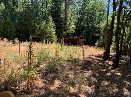 103 Lewis Ln., Sierra City, CA 96125 Photo