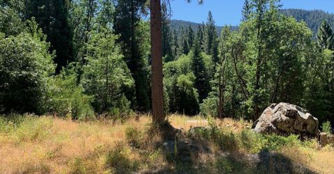 103 Lewis Ln., Sierra City, CA 96125 Photo