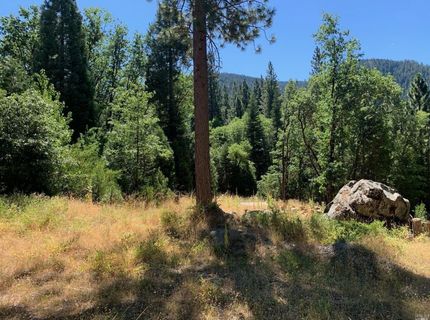 103 Lewis Ln., Sierra City, CA 96125 Photo