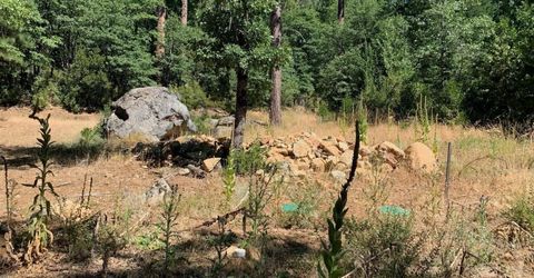 103 Lewis Ln., Sierra City, CA 96125 Photo