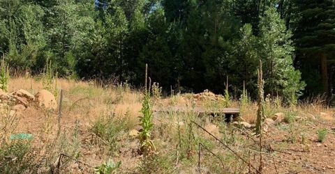 103 Lewis Ln., Sierra City, CA 96125 Photo