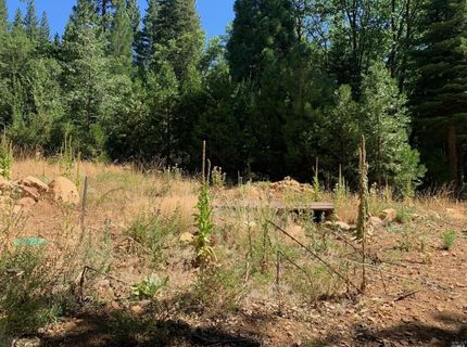 103 Lewis Ln., Sierra City, CA 96125 Photo