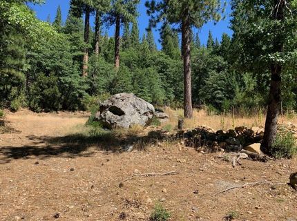 103 Lewis Ln., Sierra City, CA 96125 Photo