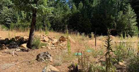 103 Lewis Ln., Sierra City, CA 96125 Photo