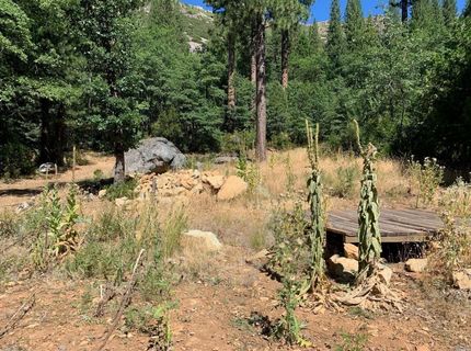 103 Lewis Ln., Sierra City, CA 96125 Photo